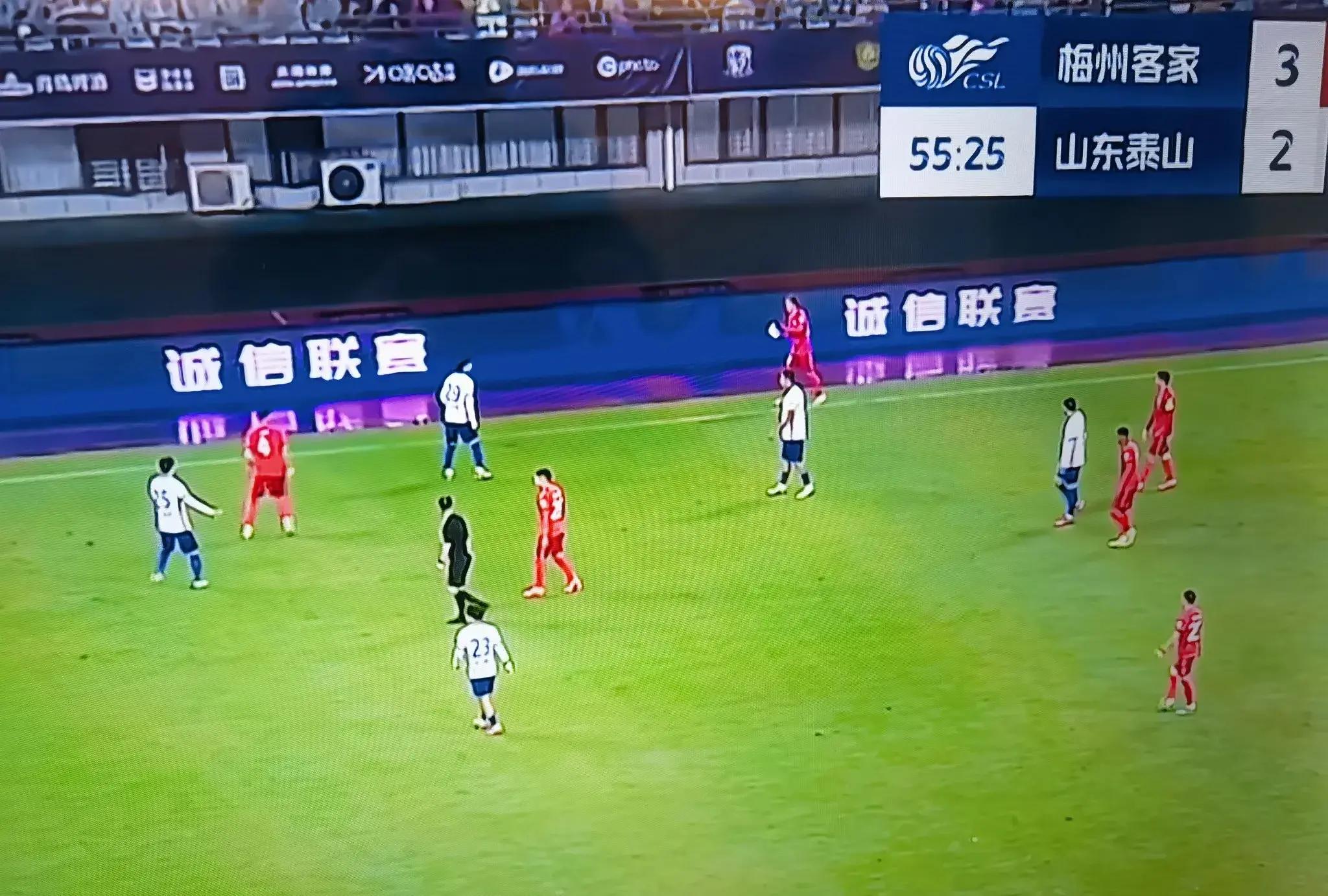 PANDA- 东野十二个纵队编制