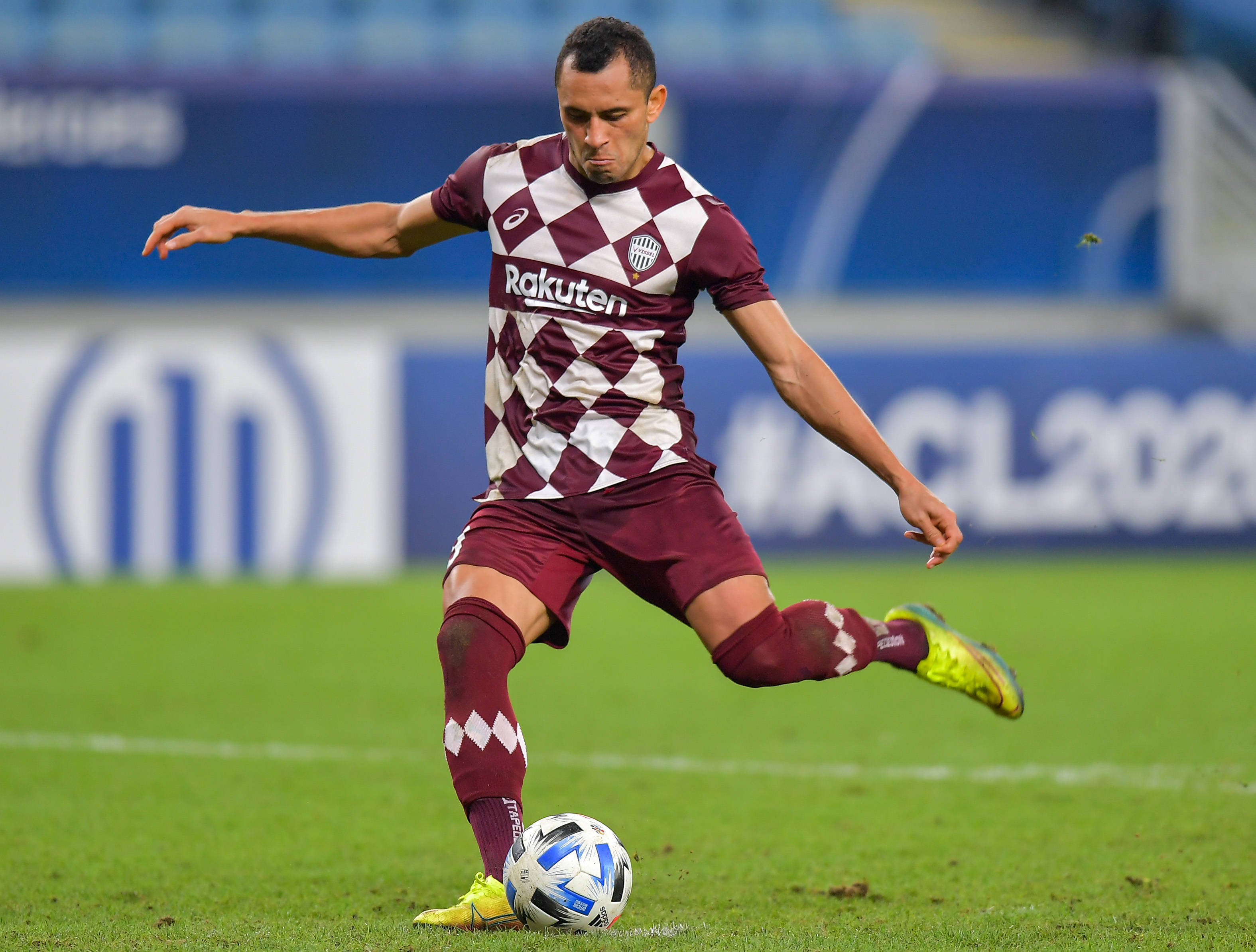 PANDA- 西藏墨脱86级地震