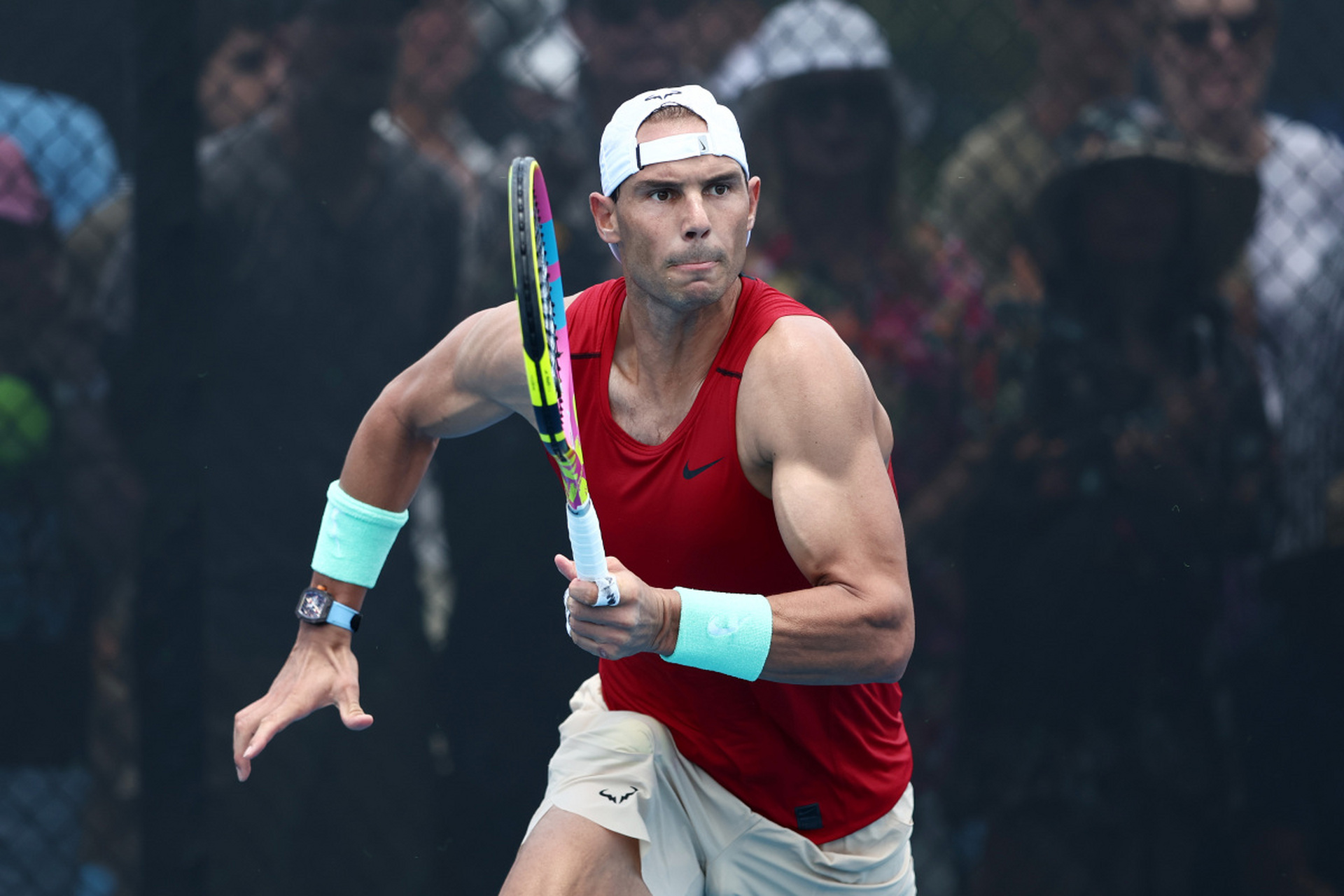 PANDA-关于纳达尔新星爆冷表现惊艳，阿森纳未来可期！的信息